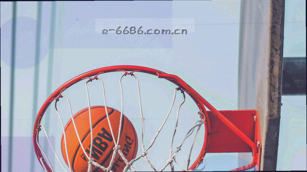 五类转会标签卡片横向排列的界面示意，标签颜色区分官宣与解约